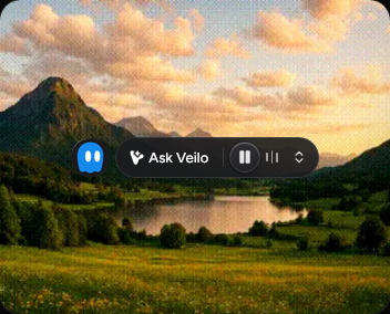 Veilo product interface